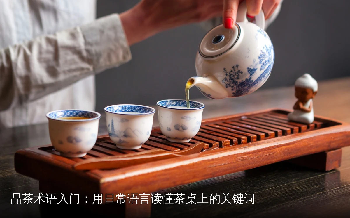品茶术语入门：用日常语言读懂茶桌上的关键词