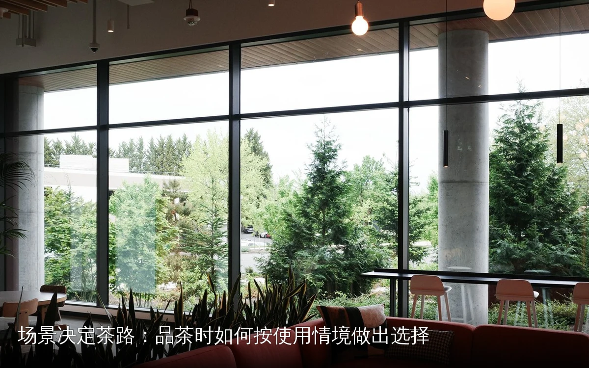 场景决定茶路：品茶时如何按使用情境做出选择